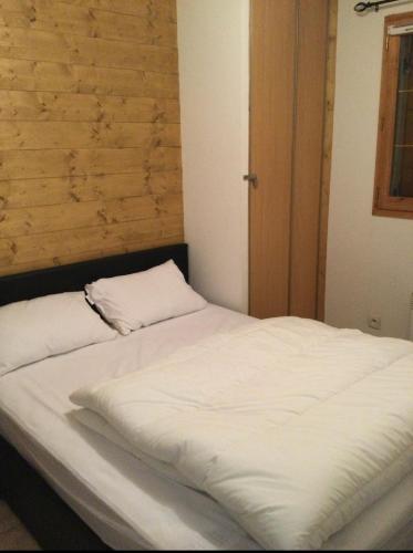 Les deux alpes appartement 6 personnes