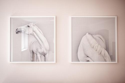 two framed pictures of a horse on a wall at Boutique Charme Apartments Langestr 14 in Baden-Baden