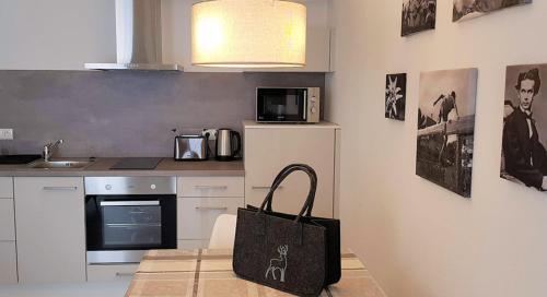 Dapur atau dapur kecil di VILLA BERGAUF, Studio Apartment König Ludwig II Kini INKL KÖNIGSCARD !!