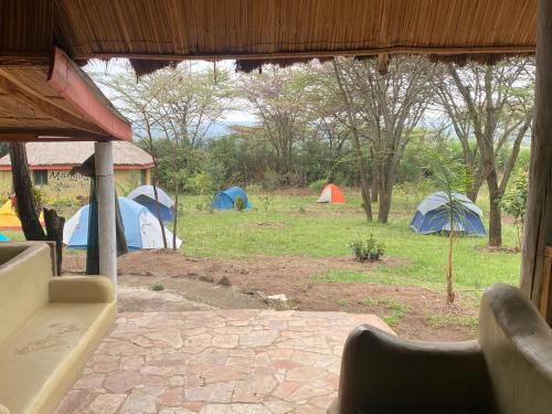 a group of tents in a field with trees at Oldarpoi Wageni Camps in Keekorok