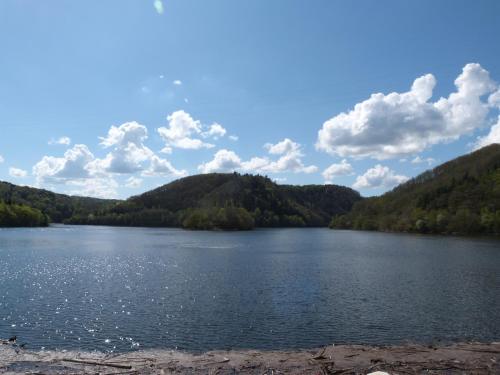 a view of a lake with mountains in the background at gite de la libellule in Commentry