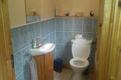 La salle de bains est pourvue de toilettes et d'un lavabo. dans l'établissement Drumgowan House, à Donegal