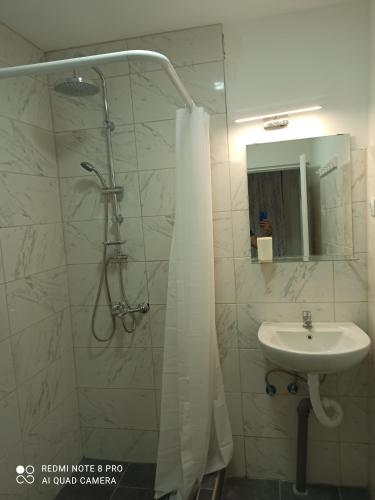 uma casa de banho com um chuveiro e um lavatório. em Apartmani Lina em Ribarska Banja
