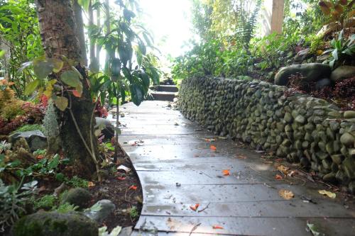 a walkway in a garden with a stone wall at Casa NATIVO in Jardin