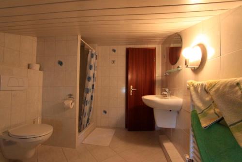 a bathroom with a toilet and a sink at "Ferienhof Alte Mühle" W 1a in Bannesdorf