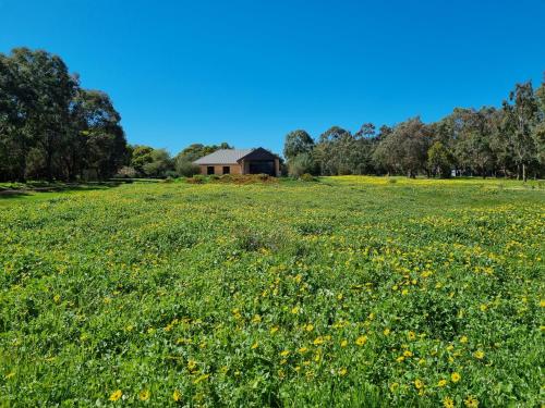 Gallery image of The Parkfield in Dunsborough