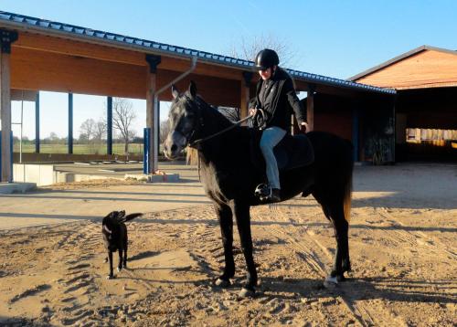een man rijdt op een paard met een hond bij Souhayla in Friedenstal