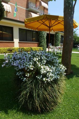 Taman di luar Hotel Versilia