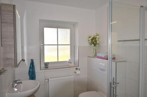 a bathroom with a toilet and a sink and a shower at Achter de Höf Whg 1 in Staberdorf