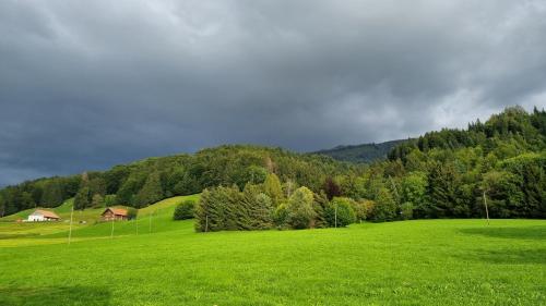 a green field with a house in the distance at Chez Rosalie in La Roche