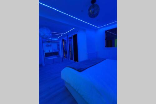 a bedroom with a bed in a blue room at Nid d'amour baignoire/jacuzzi in Nice