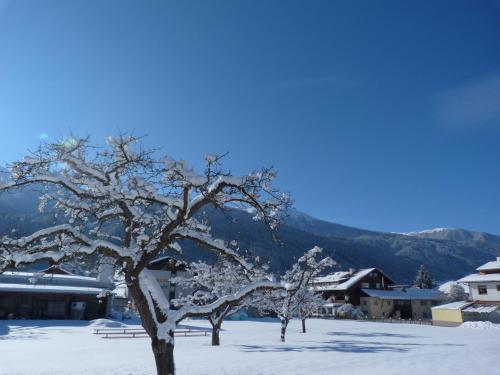 a tree covered in snow in a town at Alp Art Hotel Götzens in Innsbruck