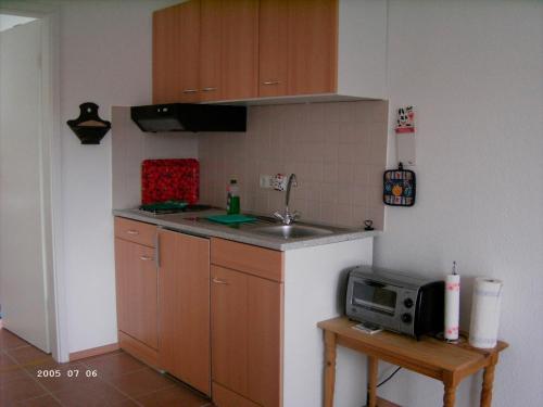 a small kitchen with a sink and a microwave at DAT OLE FISCHERHUS - App 3 in Heiligenhafen