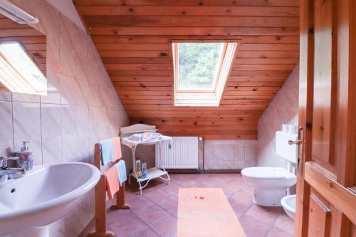 a bathroom with a sink and a toilet at House Alpine Rose in Mojstrana