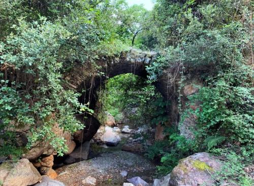 an archway over a creek in a forest at S'orrosa casa vacanze bifamiliare in montagna panorama stupendo Sardegna in Seùlo