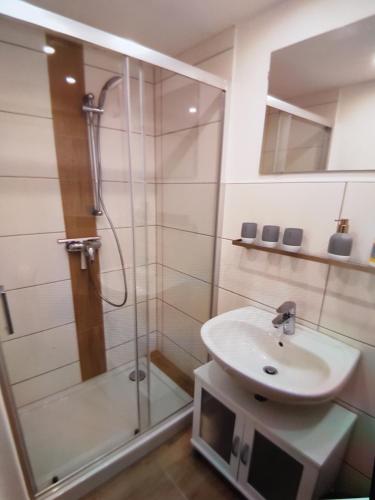 a bathroom with a shower and a sink at Ferienwohnung Schmenkel in Angermünde