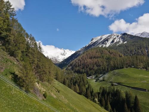 a green valley with snow capped mountains in the background at Appartement Sonneck in Lappago