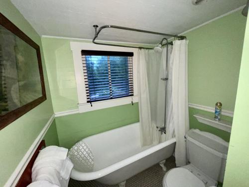 a green bathroom with a tub and a toilet and a window at Grady House Bed and Breakfast in High Springs