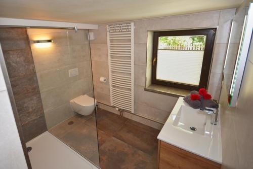 a bathroom with a shower and a sink and a toilet at Ferienwohnung Arnold in Stolpen
