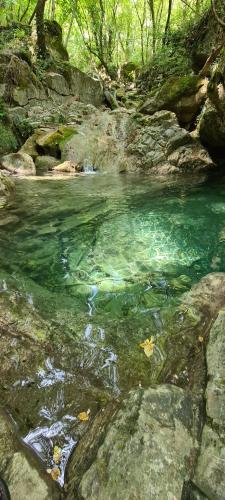a river with green water and rocks and trees at Casa elisa in Dolcedo