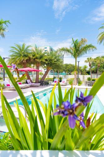 a resort with a pool and palm trees and purple flowers at The Saint Hotel in St Pete Beach