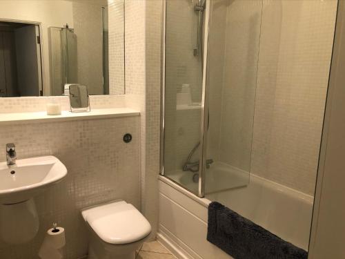 a bathroom with a shower and a toilet and a sink at Kingston Flat in Kingston upon Thames