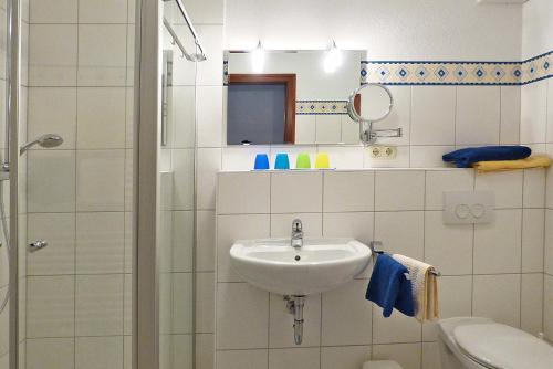 a bathroom with a sink and a toilet and a mirror at Blütenpracht in Klausdorf
