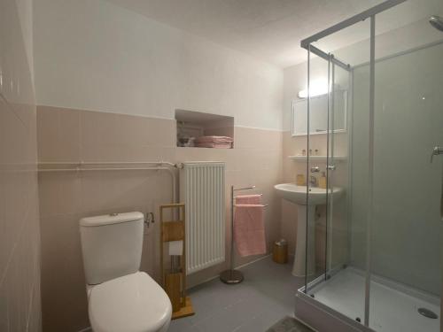 een badkamer met een toilet, een douche en een wastafel bij Gîte Vallée Verte in Burdignin