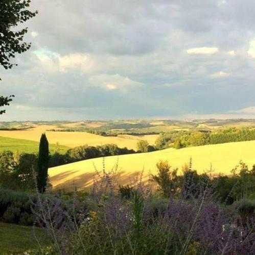 une vue d'un champ avec des fleurs violettes et des arbres dans l'établissement Magnifique grand gîte entier avec piscine et vue, à Lézat-sur-Lèze