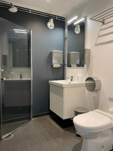 a bathroom with a toilet and a sink and a shower at Gråbogården event and conference center in Gråbo