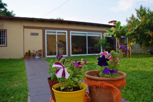 three potted plants in front of a house at Apart Iberá in Ituzaingó
