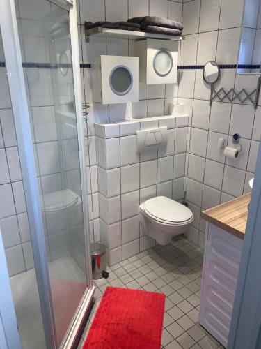 a small bathroom with a toilet and a shower at Eifel Residence in Gerolstein