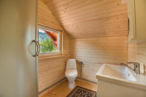 a bathroom with a toilet and a sink at Хата Різьбяра in Beloberëzka