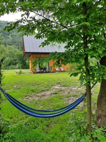 a blue hammock hanging from a tree in front of a house at Mała Gorczańska Chatka in Ochotnica Dolna
