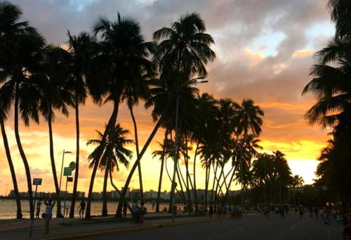un groupe de palmiers sur une plage au coucher du soleil dans l'établissement Apt Jatiúca, Excelente Localização.balada, Praia.., à Maceió