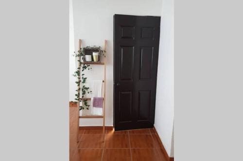 Casa Andrea Cuernavaca – Photos 4