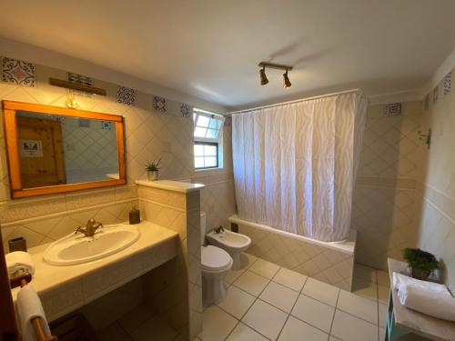 a bathroom with a sink and a toilet and a shower at Casa Piteira in Aljezur