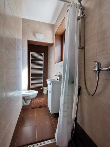 a bathroom with a shower and a toilet and a sink at Plitvice Antico in Gornji Babin Potok