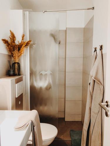 a bathroom with a glass shower with a toilet at Berggeflüster Winterberg- im Herzen Winterbergs in Winterberg