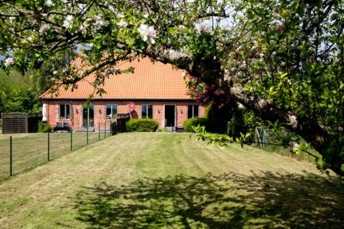 une maison avec un arbre en face d'une cour dans l'établissement Bellevue mitte, à Schashagen