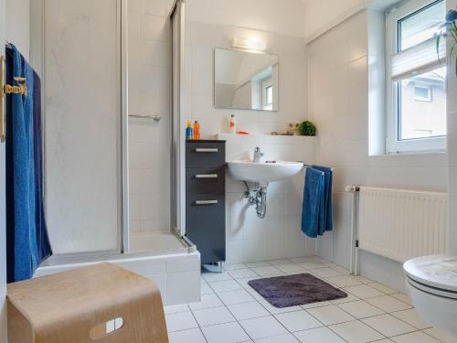 a bathroom with a shower and a sink and a toilet at Birkenstraße 11c, FeHa 1 in Zingst