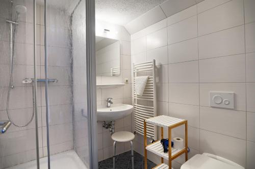 a bathroom with a shower and a sink and a toilet at Altes Wasserwerk, App 4 in Zingst