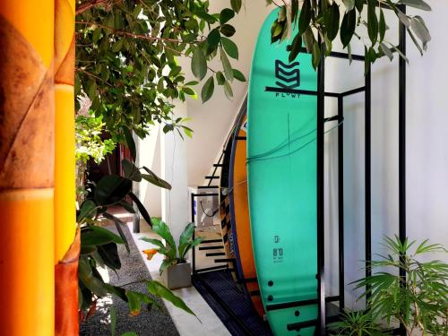 Κήπος έξω από το Weligama Bay Watsila Resort