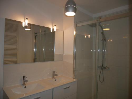 La salle de bains est pourvue d'une douche, d'un lavabo et d'un miroir. dans l'établissement Gîte du Four Banal - gitesdesbalcons-com, à Crémieu