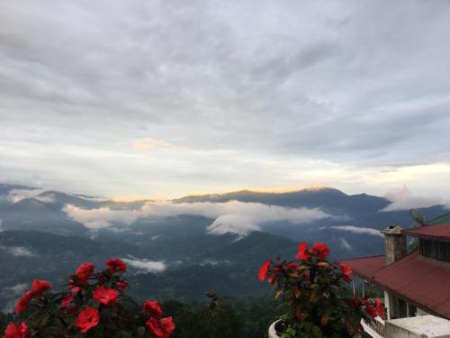 a view of a valley with clouds and red flowers at THE GINGKO EYRIE in Kalimpong