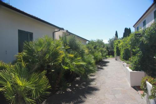 a street with palm trees next to a building at Azienda Agricola Sapereta in Porto Azzurro