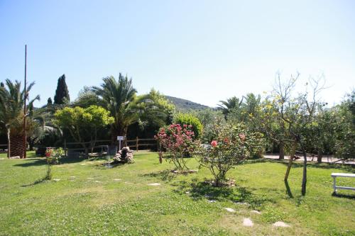 a park with a bench and some trees and flowers at Azienda Agricola Sapereta in Porto Azzurro