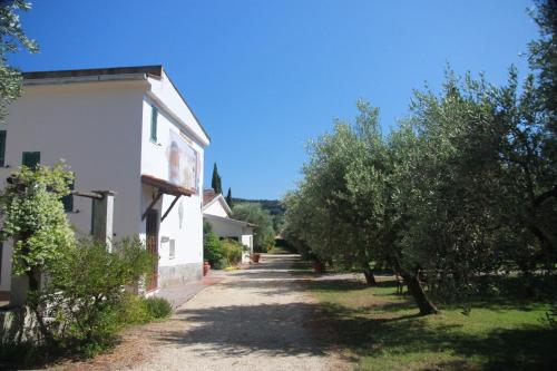 an alley with trees next to a white building at Azienda Agricola Sapereta in Porto Azzurro