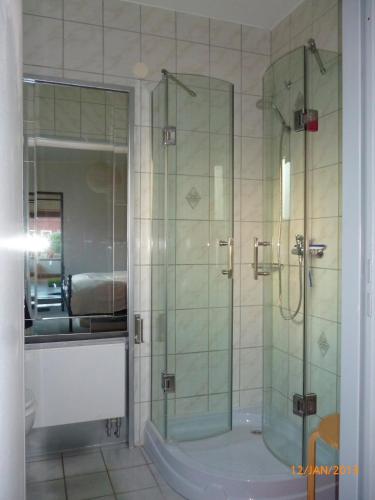baño con ducha y puerta de cristal en Ferienwohnung Tietgen en Rendsburg