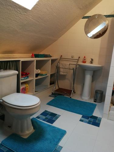 une salle de bain avec toilettes et lavabo dans l'établissement Les Bardinieres for Zoo Fleche, à Savigné-sous-le-Lude